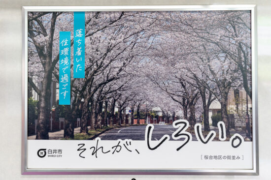 白井市広告「桜台地区の街並み」