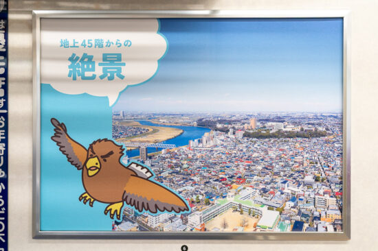 市川市広告「地上45階からの絶景」