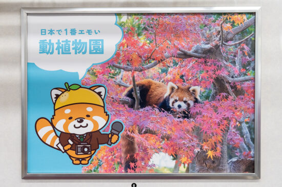 市川市広告「日本で1番エモい動植物園」