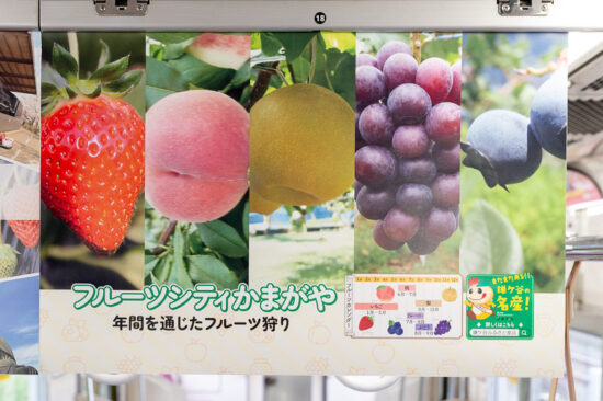 鎌ケ谷市広告「フルーツシティかまがや」