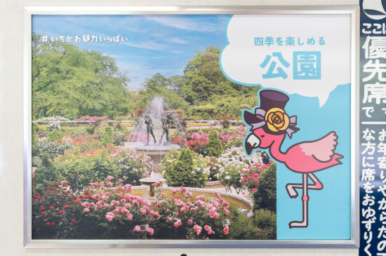市川市広告「四季を楽しめる公園」