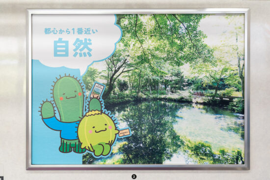 市川市広告「都心から1番近い自然」