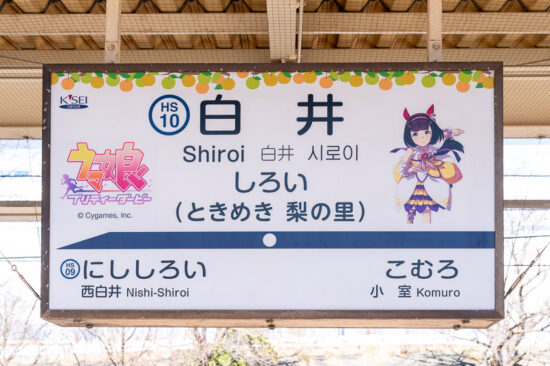 印旛日本医大方の駅名標は「ニシノフラワー」仕様