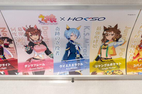 01/41：ダンツフレーム/ケイエスミラクル/ジャングルポケット