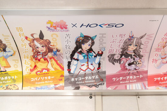 02/41：コパノリッキー/ホッコータルマエ/ワンダーアキュート