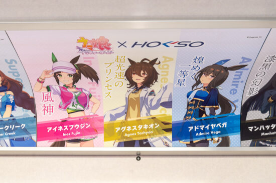 16/41：アイネスフウジン/アグネスタキオン/アドマイヤベガ