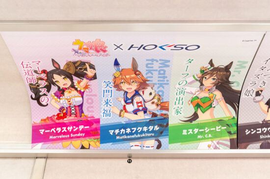 17/41：マーベラスサンデー/マチカネフクキタル/ミスターシービー