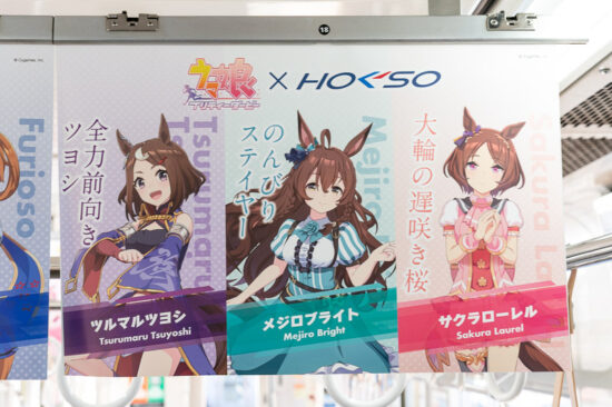 33/41：ツルマルツヨシ/メジロブライト/サクラローレル