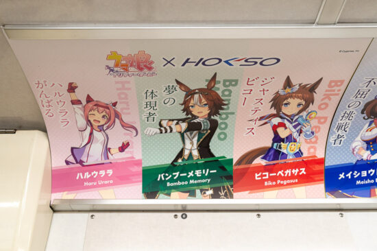 34/41：ハルウララ/バンブーメモリー/ビコーペガサス