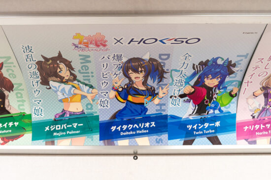 38/41：メジロパーマー/ダイタクヘリオス/ツインターボ