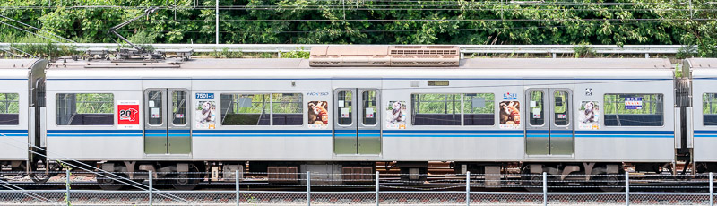 7501-5号：市川市車両